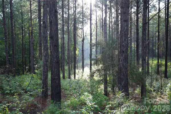 00 Bobby Faucette RD #9, Jonesville, SC 29353