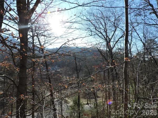 10 Whitman LN #41, Black Mountain, NC 28711