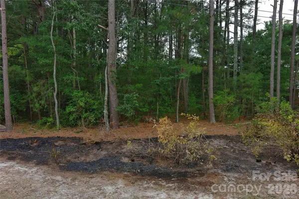 0 Mccaskill DR, Candor, NC 27229