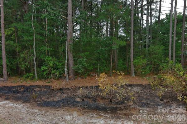 0 Mccaskill DR, Candor, NC 27229