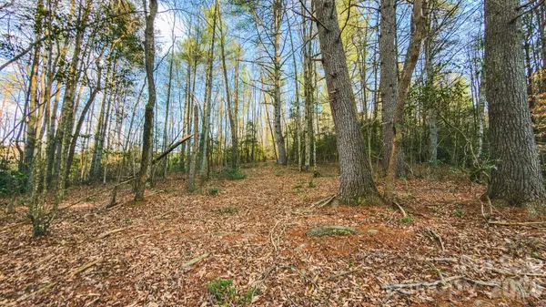 Tract 4 All Healing Springs RD #1, Taylorsville, NC 28681