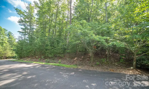 Lot 111 Trellis DR, Nebo, NC 28761