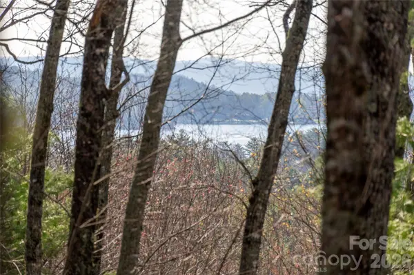 TRP 1 Cardinal DR W, Lake Toxaway, NC 28747