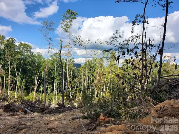 00 Parkwood Hill RD #32, Spruce Pine, NC 28777