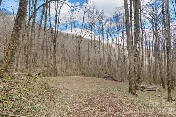 23 Forbidden CV, Waynesville, NC 28785