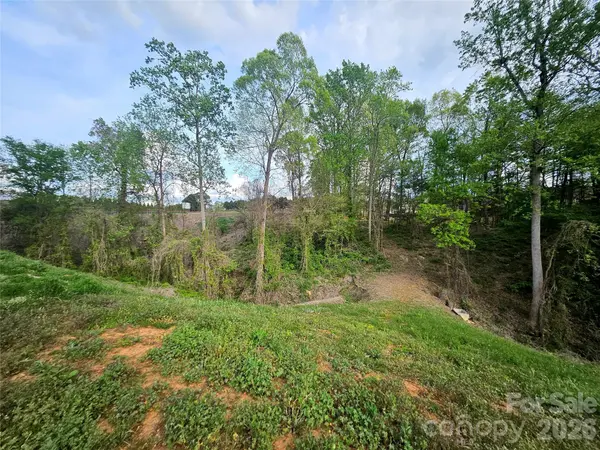 1110 Clark Hill DR, Belmont, NC 28012