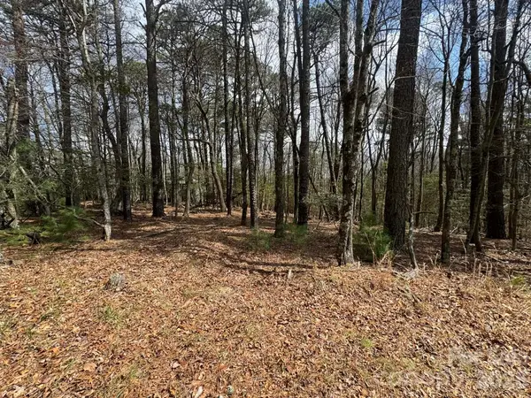 TBD Ward Circle DR #33, Sparta, NC 28675