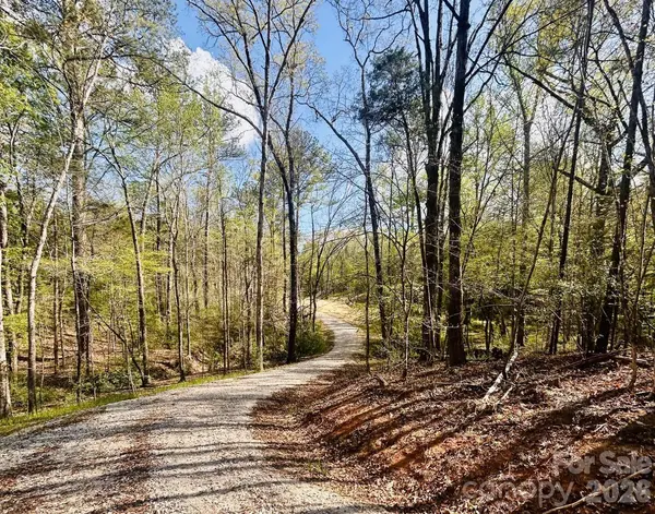 0 Peden Bridge RD, Chester, SC 29706