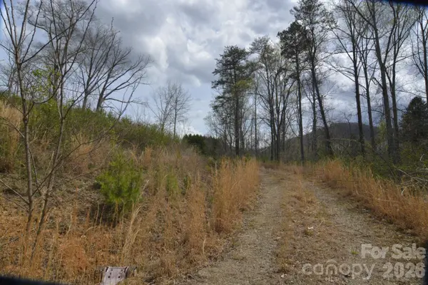 535 Old Newfound RD, Leicester, NC 28748