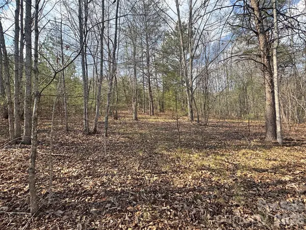 VL Amberwood PL #17, Rutherfordton, NC 28139