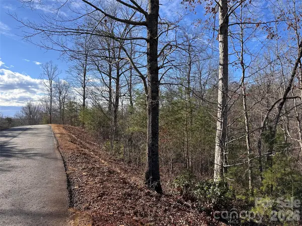0 Rock Ledge DR, Lake Lure, NC 28746