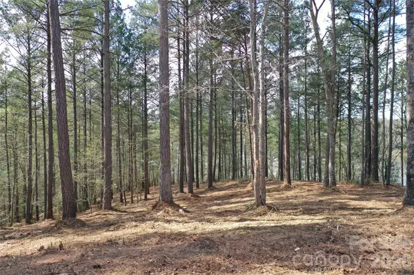 2299 Lighthouse LN #76, Connelly Springs, NC 28612