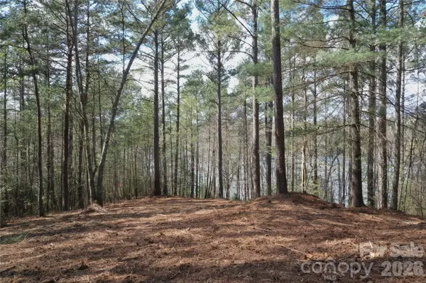 2299 Lighthouse LN #76, Connelly Springs, NC 28612