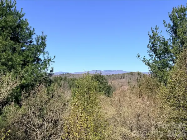 TBD (Lot 21 & 22) Martha LN #21 & 22, Piney Creek, NC 28663