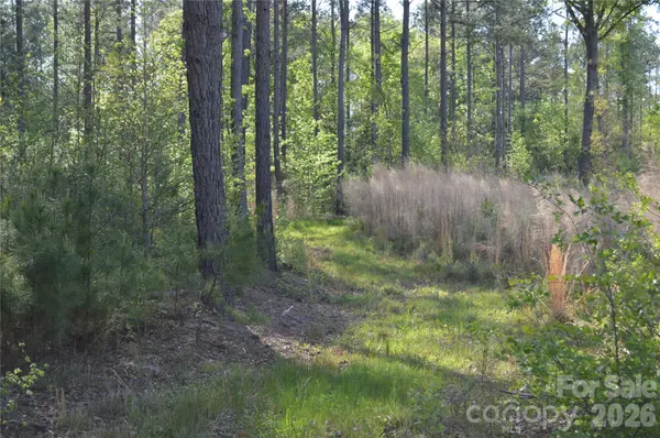 00 Peter Hawk Creek RD #10, Jonesville, SC 29353
