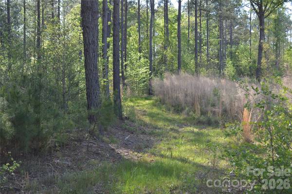 00 Peter Hawk Creek RD #10, Jonesville, SC 29353