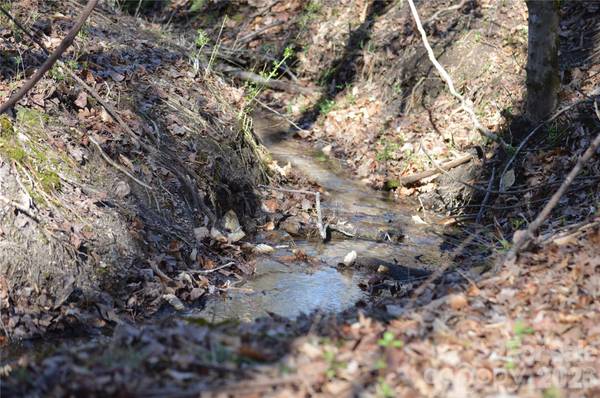 00 Peter Hawk Creek RD #10, Jonesville, SC 29353