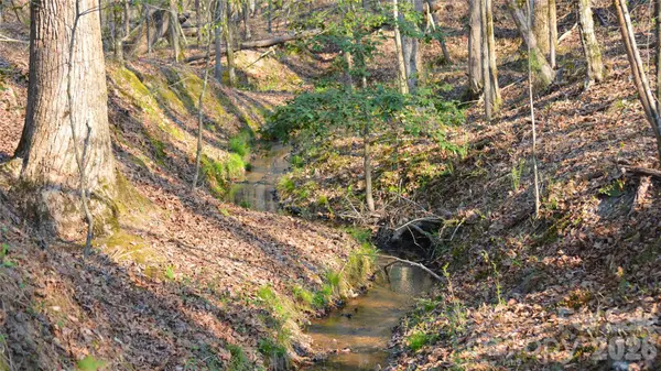 00 Peter Hawk Creek RD #10, Jonesville, SC 29353