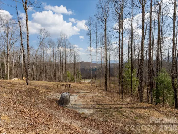 220 Simply Grateful DR, Hendersonville, NC 28792