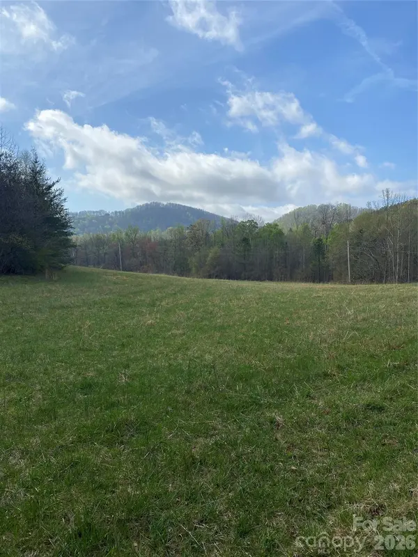 00 Cane Creek Mountain RD #1, Bostic, NC 28018