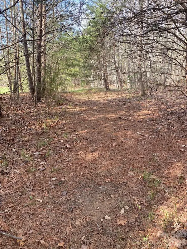 00 Cane Creek Mountain RD #1, Bostic, NC 28018