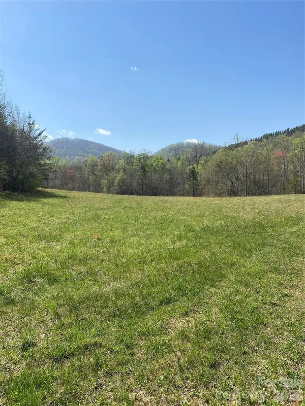 00 Cane Creek Mountain RD #1, Bostic, NC 28018
