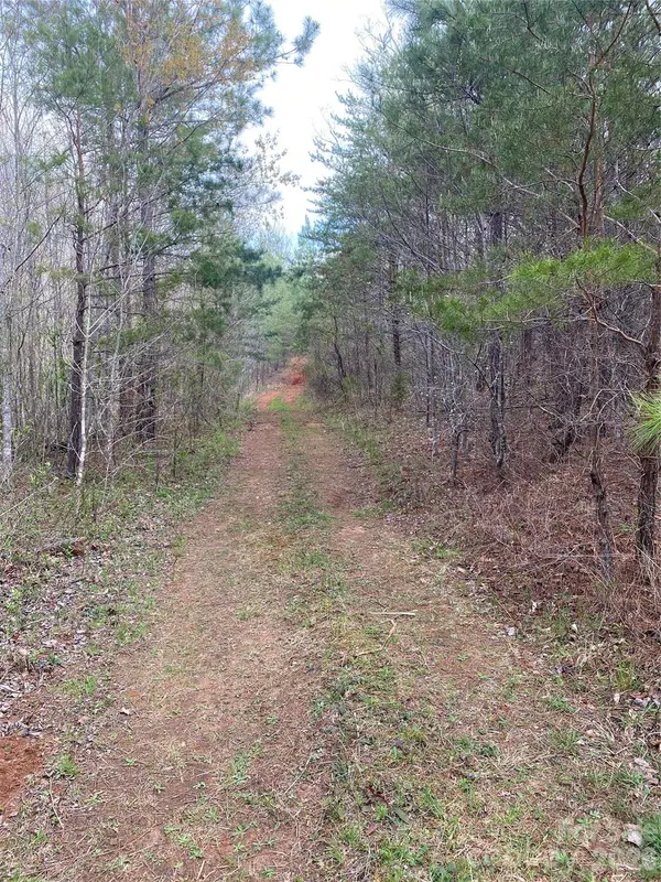 00 Cane Creek Mountain RD #1, Bostic, NC 28018