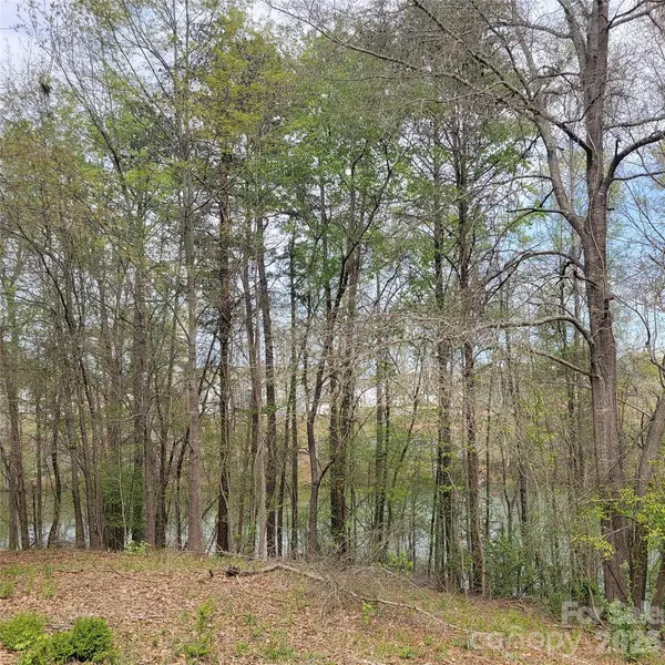 230 Walnut ST, Belmont, NC 28012