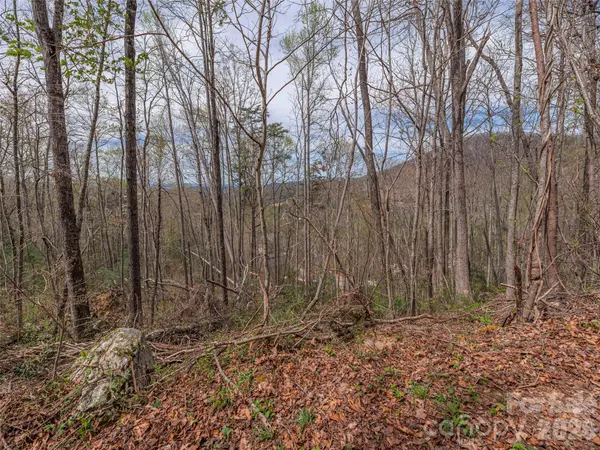 91 & 101 Cedar Mountain RD, Asheville, NC 28803