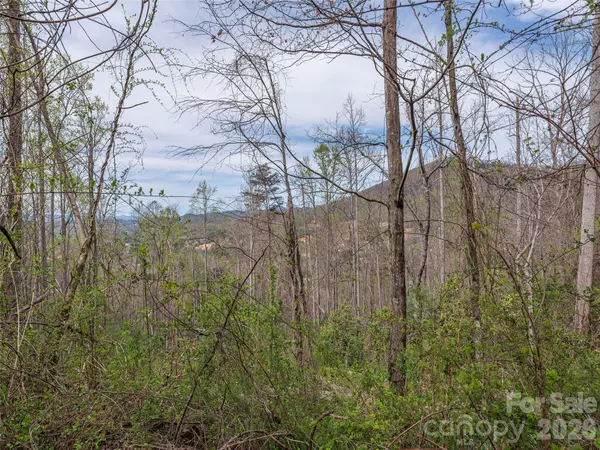 111 & 125 Cedar Mountain RD, Asheville, NC 28803