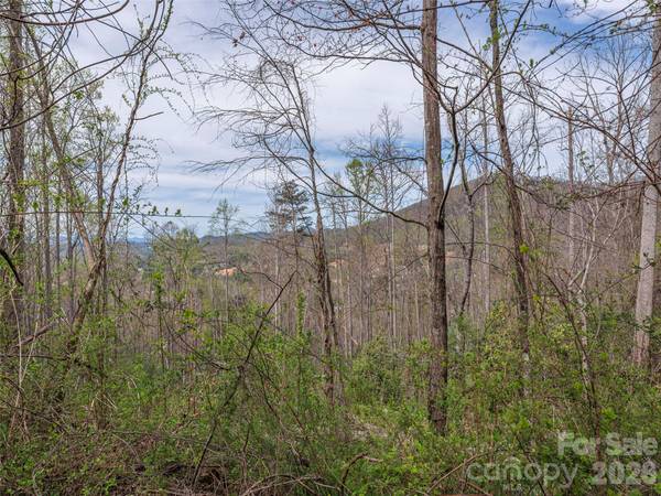 111 & 125 Cedar Mountain RD, Asheville, NC 28803
