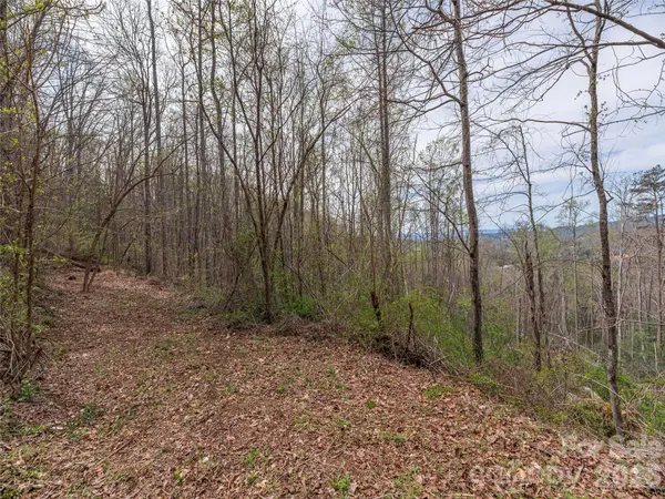111 & 125 Cedar Mountain RD, Asheville, NC 28803