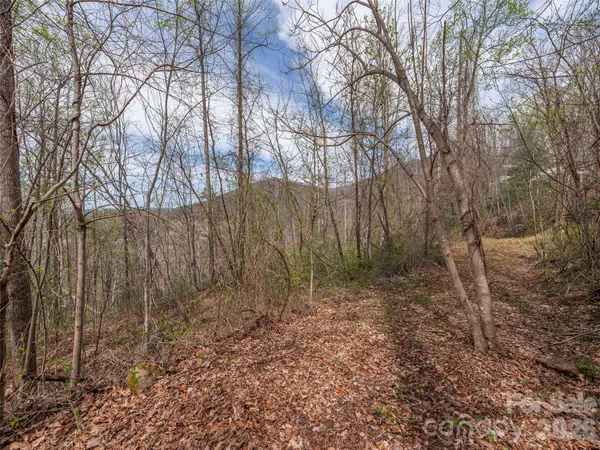 111 & 125 Cedar Mountain RD, Asheville, NC 28803