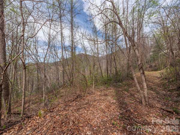 111 & 125 Cedar Mountain RD, Asheville, NC 28803