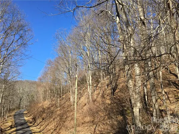 99999 Red Oak Forest RD, Fairview, NC 28730