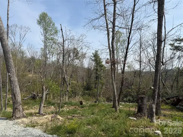273 McMillan DR, Hendersonville, NC 28792