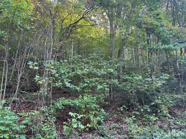 TBD Red Oak Forest RD, Fairview, NC 28730