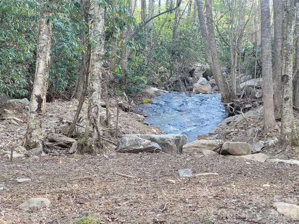 9999 Lytle Cove Road RD, Swannanoa, NC 28778