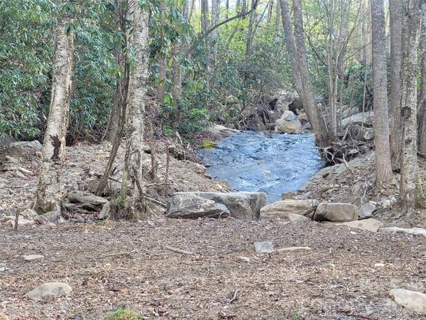 9999 Lytle Cove Road RD, Swannanoa, NC 28778
