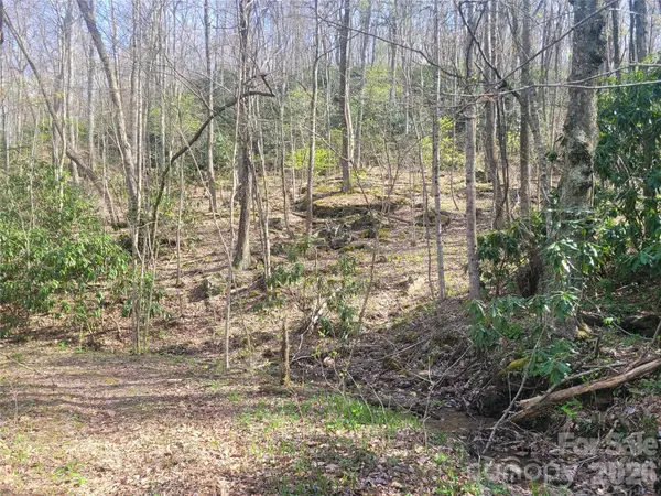 9999 Lytle Cove Road RD, Swannanoa, NC 28778