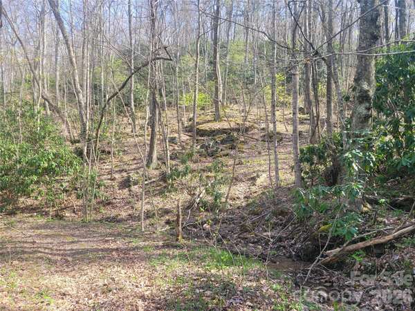 9999 Lytle Cove Road RD, Swannanoa, NC 28778