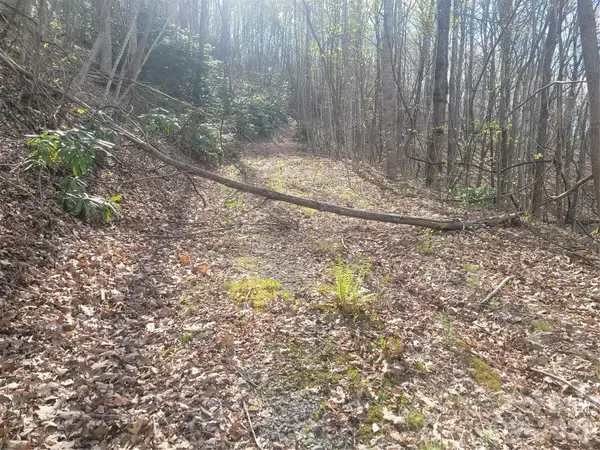 9999 Lytle Cove Road RD, Swannanoa, NC 28778