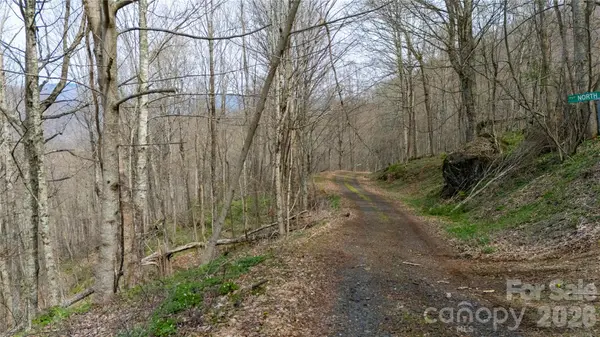 000 Tyler LN, Bakersville, NC 28705