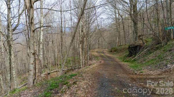 000 Tyler LN, Bakersville, NC 28705
