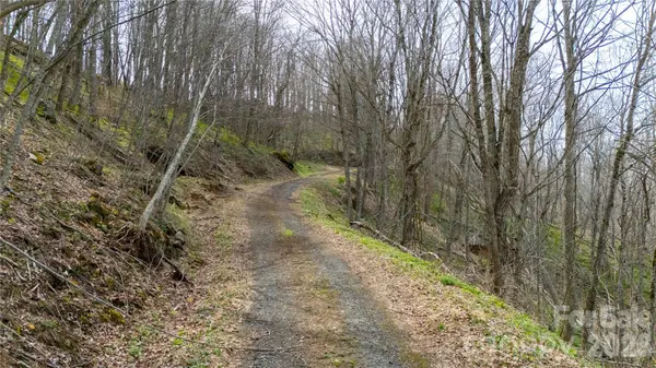 000 Tyler LN, Bakersville, NC 28705