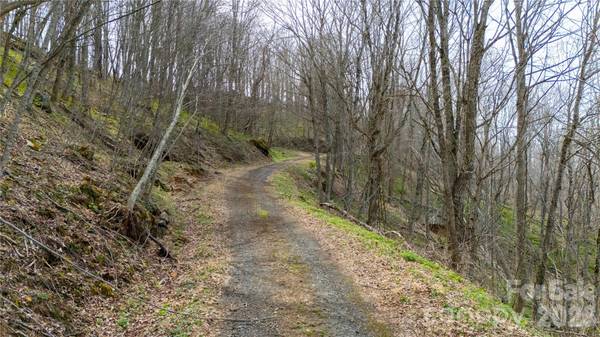 000 Tyler LN, Bakersville, NC 28705