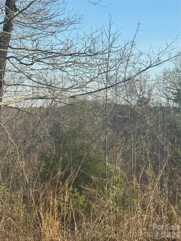 0 Willow Top LN #317, Lake Lure, NC 28746