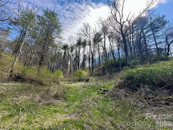 000 Mitchell AVE, Bakersville, NC 28705