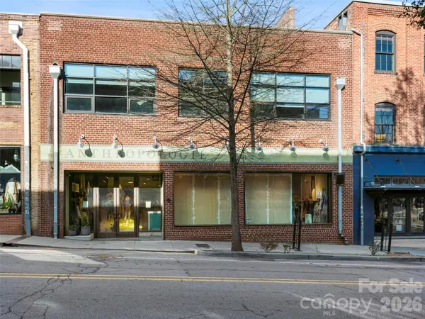 19 Rankin AVE #1B, Asheville, NC 28801