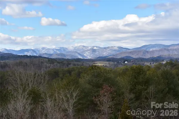 44 Dane Acres DR, Alexander, NC 28701